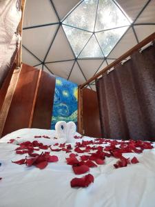 Postel nebo postele na pokoji v ubytování MANDALA CAMP