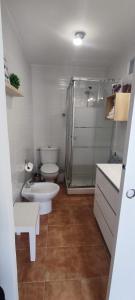 een badkamer met een douche, een toilet en een wastafel bij Estudio Patio San Paulino II in Barbate