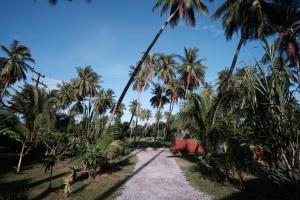 a dirt road with palm trees in a field at Coconut Tree Homestay in Ban Wa Thon