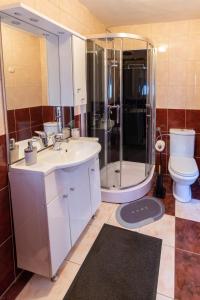 חדר רחצה ב-Apartments Ruža Dragove Dugi otok