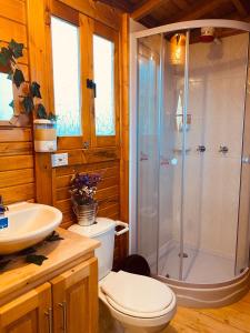 y baño con ducha, aseo y lavamanos. en Lago De Tota Glamping, en Tota