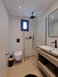 un bagno con lavandino, water e specchio di Villa Gleandra a Laganas