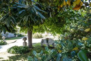un banco de parque bajo un árbol en un jardín en Villa Gabri 1 e Villa Gabri2, en Arona