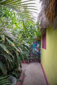 Gallery image of Hostal Shalom in Puerto Escondido