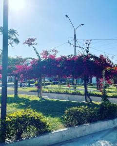 a park with pink flowers on trees and a street at Acogedora casa en ica in Ica