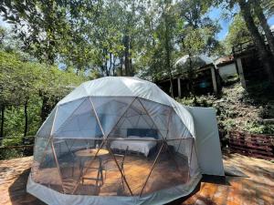 Zahrada ubytování MANDALA CAMP
