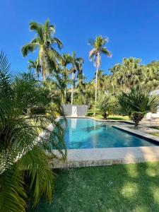 una piscina con palmeras en un patio en Casa Jasmin~7000 m2 of tropical garden, en Las Terrenas