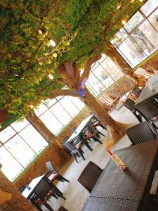 un árbol en medio de un restaurante con mesas y sillas en Hostal Torotoro, en Toro Toro