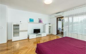 TV a/nebo společenská místnost v ubytování 1 Bedroom Nice Apartment In Rijeka