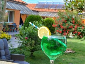 a drink in a glass with a lemon slice in it at Dom Zaharievi in Byala