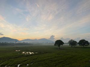 Paesaggio naturale nelle vicinanze della stanza in casa privata