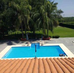 une grande piscine bleue avec des palmiers en arrière-plan dans l'établissement Monte Parnaso, 
