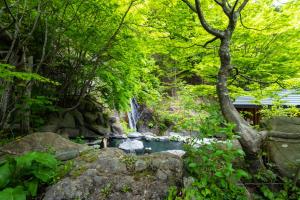 Náttúran í nágrenni ryokan-gistingarinnar