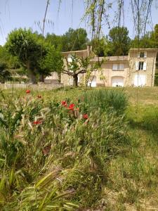 Vonkajšia záhrada v ubytovaní Domaine Saint Bonnet