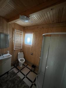 a bathroom with a toilet and a sink and a window at Котеджі Зоряне Небо in Bukovel