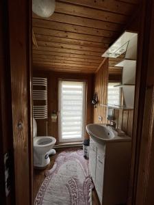 uma casa de banho com um lavatório, um WC e uma janela. em Котеджі Зоряне Небо em Bukovel
