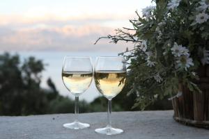 deux verres de vin blanc assis sur une table dans l'établissement Elixrison Villas - Sea view Villa near Nidri, à Nikiana