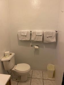 a bathroom with a toilet and towels on a wall at Johnston's Motel in Garberville