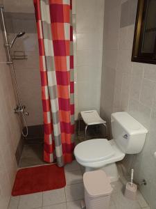 a bathroom with a toilet and a shower curtain at The Grapevine Guest House in Paphos