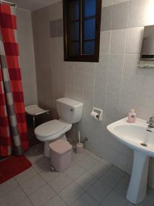 a bathroom with a toilet and a sink at The Grapevine Guest House in Paphos City