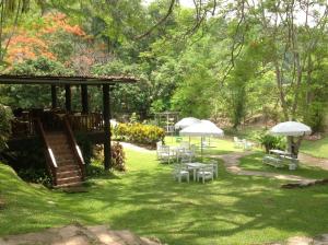 Zahrada ubytování Mae Sa Valley Garden Resort + 37 fotografií