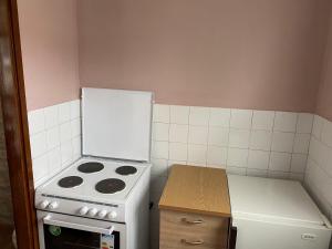 a small kitchen with a stove and a refrigerator at Linden apartment in Pluzine