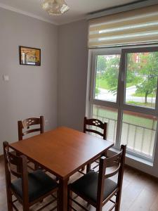 a dining room table with chairs and a large window at Linden apartment in Pluzine
