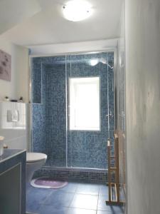 a bathroom with a shower with a toilet and a window at Apartment Vrbenka in Vrbnik