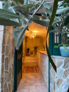 un couloir d'une maison avec une porte et une plante dans l'établissement Villa Aurelia Old Town, à Kavala