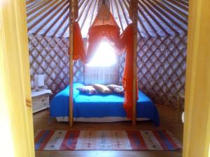 1 dormitorio con 1 cama en una yurta con ventana en Yurta Agricamping Villamagra, en Santa Luce