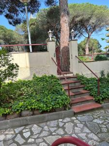 Zahrada ubytování Apartamento Vacacional en Platja D'Aro