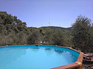 a large blue swimming pool with trees and windmills at Yurta Agricamping Villamagra in Santa Luce