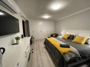 ケープタウンにあるDe Tuin Accommodationのベッドルーム(大型ベッド1台、薄型テレビ付)