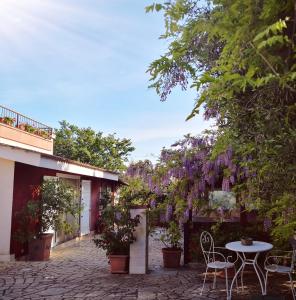 Zahrada ubytování B&B Villa Lena