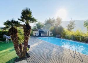 een zwembad met twee palmbomen ernaast bij Bas de villa- Bastide zebra in Contes