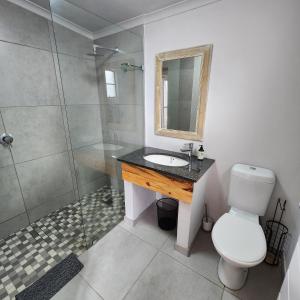 y baño con aseo, lavabo y ducha. en Karoo Leeu Cottage, en Oudtshoorn