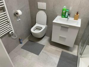 Koupelna v ubytování Mezonet - Postovska Centr Apartments