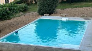 una piscina con una palla in acqua di Grande maison bourgeoise a Malleval