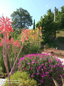 a garden with colorful flowers and plants at B&B Monticelli in Gubbio