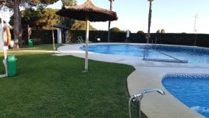 una gran piscina con sombrilla y césped en Casa Alma, en Campano