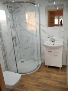 La salle de bains est pourvue d'une douche et d'un lavabo. dans l'établissement Wczasy na Kaszubach, à Górki