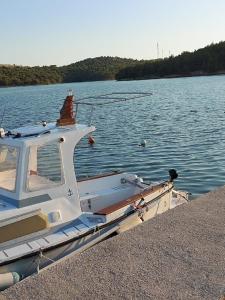 a boat parked on the shore of a body of water at Apartman Luka in Jadrtovac +41 photos