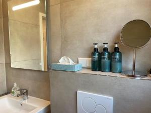 a bathroom with two bottles on a shelf with a mirror at Edles Apartment in Hanau mit Balkon und Freisitz, Pkw-Stellplatz in Hanau am Main +18 photos