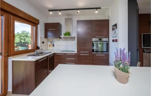 Køkken eller tekøkken på 3 Bedroom Awesome Home In Liznjan