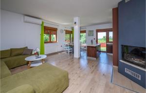 sala de estar con sofá y chimenea en Pet Friendly Home In Liznjan With Kitchen, en Ližnjan