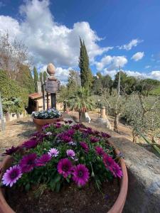 un lecho de flores con flores púrpuras en un jardín en Country house in Maremma Villa Mafalda, en SantʼAntonio