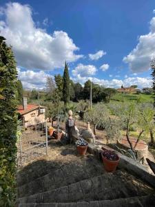 een tuin met potplanten en een hek bij Country house in Maremma Villa Mafalda in SantʼAntonio