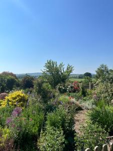 um jardim com flores coloridas numa colina em Cwm Lodge, an idyllic retreat in the heart of Herefordshire! em Hereford