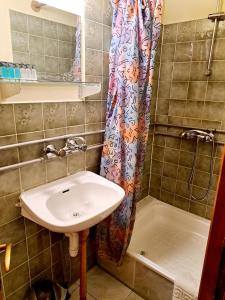 W łazience znajduje się umywalka i prysznic. w obiekcie Willa Pod Jesionem w Poroninie