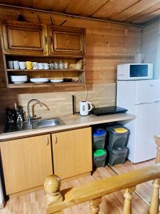 a kitchen with a sink and a white refrigerator at Willa Pod Jesionem in Poronin